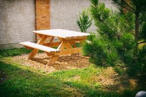 einem Picknicktisch aus Holz mit einer Bank im Gras in der Unterkunft An den Elbwiesen Gästezimmer "Weißstorch" Nur Nichtraucher in Greudnitz
