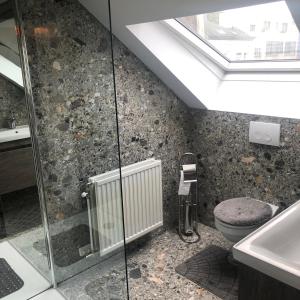 a bathroom with a shower and a toilet and a sink at Duplex in Antwerp