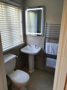 a bathroom with a toilet and a sink and a mirror at Wolseley Park guest house in Tullow