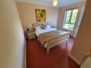 Un dormitorio con una cama grande y una ventana en Wolseley Park guest house en Tullow