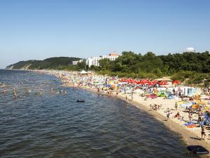 Przyroda w pobliżu tego domu wakacyjnego
