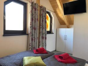 TV a/nebo společenská místnost v ubytování Naturstammhaus und Appartements Zum Brockenbaecker