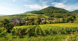 un pequeño pueblo en un viñedo en las colinas en Lauras Weinherberge, en Leinsweiler