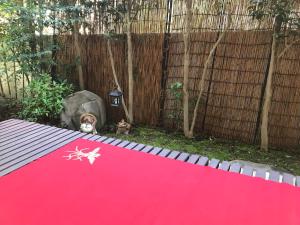 Ospiti di RYU con animali domestici
