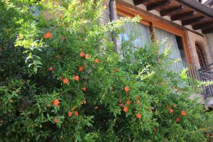 Zahrada ubytování B&B Il Melograno del Garda
