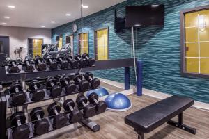 Fitness center at/o fitness facilities sa Holiday Inn and Suites Addison, an IHG Hotel
