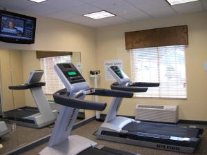 una palestra con due tapis roulant in una stanza di Holiday Inn Express - Cortland, an IHG Hotel a Cortland