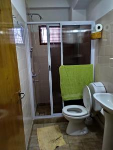 a bathroom with a shower and a toilet and a sink at Departamento centrico en Posadas, garage opcional D1 in Posadas