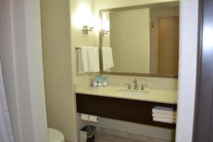 Koupelna v ubytování Holiday Inn Express Hotel and Suites Duncan by IHG