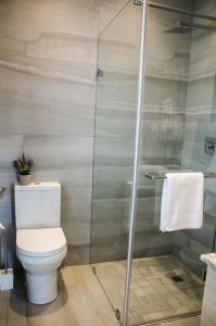 a bathroom with a toilet and a shower at Lavinia Lifestyle in Stellenbosch