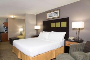 a hotel room with a large bed and a couch at Holiday Inn Express & Suites Danville, an IHG Hotel in Danville