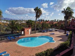 a swimming pool on a brick patio with palm trees at casa MarDolomiti in Corralejo