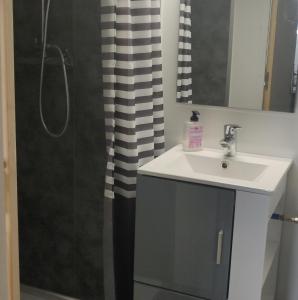 ein Bad mit einem Waschbecken und einer Dusche in der Unterkunft L'Escale Penhoet in Saint-Nazaire