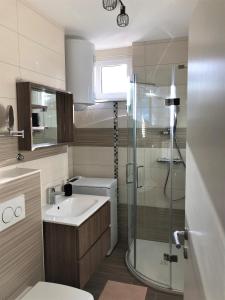 克拉尼斯卡戈拉APARTMA CARPE DIEM的浴室里有马桶、洗手池和淋浴。