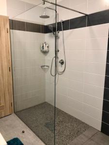 W łazience znajduje się prysznic ze szklanymi drzwiami. w obiekcie Apartmán Lipno G11 w mieście Frymburk