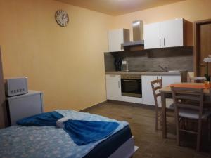 Kuchyň nebo kuchyňský kout v ubytování Apartma Marjetica II.