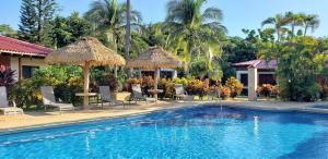 Πισίνα στο ή κοντά στο Guacamaya Lodge