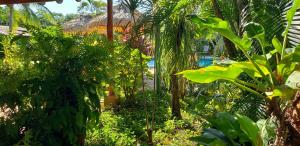 un jardín con plantas verdes y árboles y un edificio en Guacamaya Lodge en Paraíso