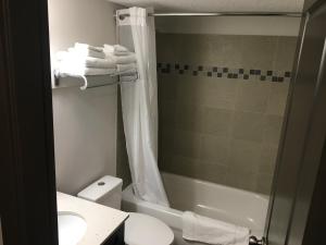 a bathroom with a shower and a toilet and a sink at Homestead Inn & Suites in Vanderhoof