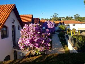 塞拉內格拉的住宿－阿克羅波利斯酒店，一座建筑里一群紫色的花