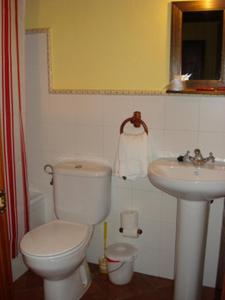 a bathroom with a toilet and a sink at Apartamentos Rurales El Molín de Panizal in San Cosme