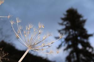 Fotografie z fotogalerie ubytování Magic Moments v destinaci Brail