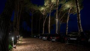 uma fila de carros estacionados ao lado de árvores à noite em Oasi Olimpia Relais em SantʼAgata sui Due Golfi