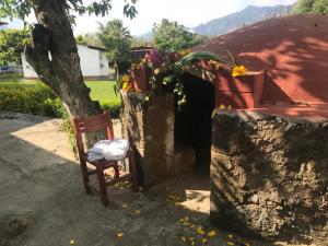 a chair sitting under a tree next to a building at Hotel Boutique Bacaanda in Tepoztlán