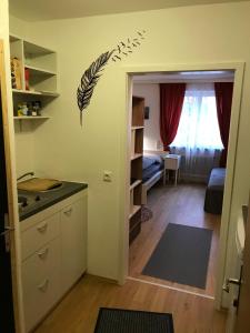 Kuchyň nebo kuchyňský kout v ubytování Apartment Kleissl