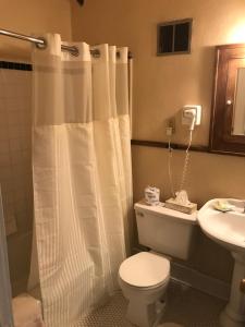 a bathroom with a white shower curtain and a toilet at Historic Franklin Hotel in Deadwood