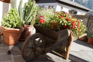 Fotografie z fotogalerie ubytování Hotel Giardino v destinaci Pieve di Cadore