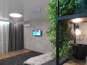 克里沃羅格的住宿－Apartment on Karla Marksa Avenue，一间配有电视旁边的带植物的床的房间