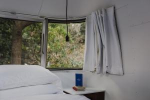 a bedroom with a bed and a window at AutoCamp Russian River in Guerneville