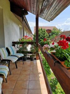 a patio with chairs and flowers on a balcony at Casa Mais in Braşov