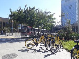 a row of yellow bikes parked on a sidewalk at Hospedaria Pinheiros Hostel in Sao Paulo +3 photos
