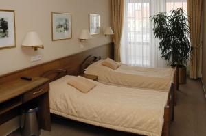 Posteľ alebo postele v izbe v ubytovaní Hotel Restaurant Modrá Hvězda