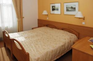 Posteľ alebo postele v izbe v ubytovaní Hotel Restaurant Modrá Hvězda