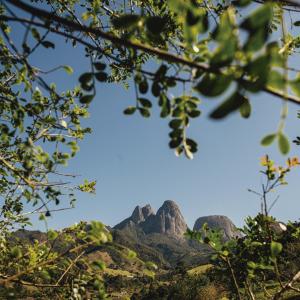 a view of the mountains through the trees at Reserva Três Picos Chalés in Nova Friburgo