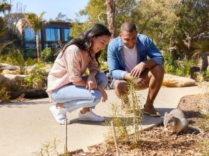 a man and woman sitting on the ground next to a bush at Wildlife Retreat at Taronga in Sydney
