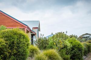 a house with bushes in front of a house at Banksia at Cosy Corner by the BNB Collection in Albany
