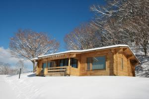 轻井泽轻井泽西王子酒店的雪地小木屋,有雪覆盖的地面
