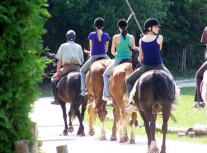 a group of people riding horses down a path at Ranch Kaja & Grom in Vojnik