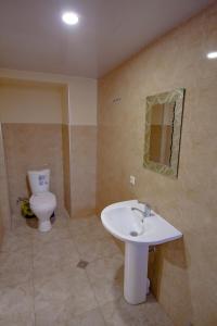 La salle de bains est pourvue d'un lavabo et de toilettes. dans l'établissement Holiday Home Ekaterine, à Telavi