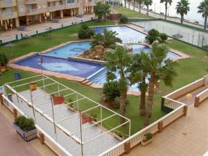 an overhead view of a swimming pool with palm trees at Apartamentos Turísticos Puerto Tomás Maestre in La Manga del Mar Menor