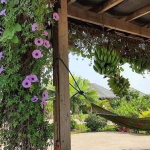 Zahrada ubytování Kham Ecolodge
