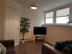 uma sala de estar com televisão e um vaso de plantas em Carvetii - Edward House C - 2 Dbl bed 2nd floor flat em Dunfermline