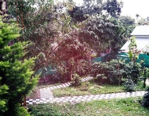 Zahrada ubytování Hill Mist Thekkady