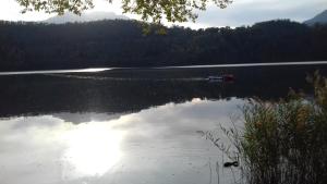 Ảnh trong thư viện ảnh của da Rosemarie ở Levico Terme