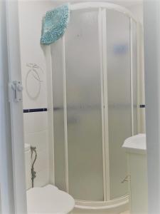 ラスパルマス・デ・グランカナリアにあるMini Flatのバスルーム(シャワー、トイレ、洗面台付)