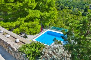 an overhead view of a swimming pool in a forest at Villa Degenija - Principality of Zarijak in Jablanac